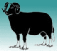 Link to Balwen Welsh Mountain Sheep website