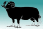 Link to Balwen Welsh Mountain Sheep website